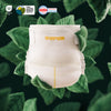 Monthly Diaper Box