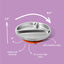 Avanchy Stainless Steel Suction Toddler Plate